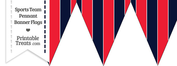 Indians Colors Pennant Banner Flag