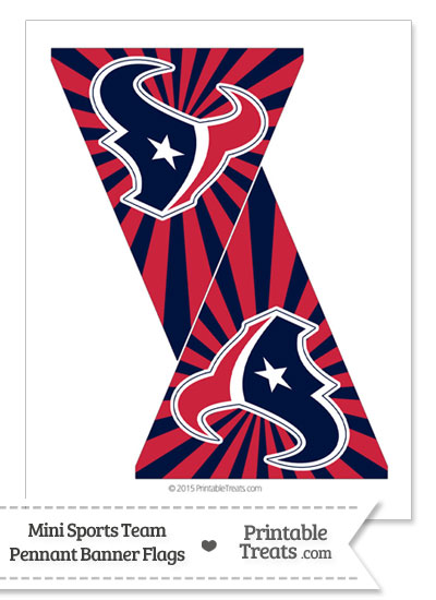 Houston Texans Mini Pennant Banner Flags from PrintableTreats.com