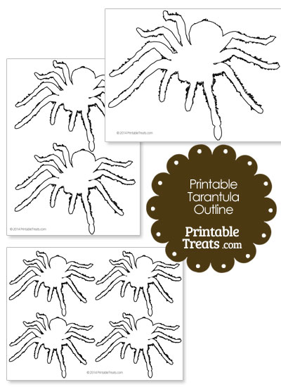 Printable Tarantula Outline from PrintableTreats.com