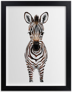 Baby Zebra Art Print for Gender Neutral Animal Theme Nursery